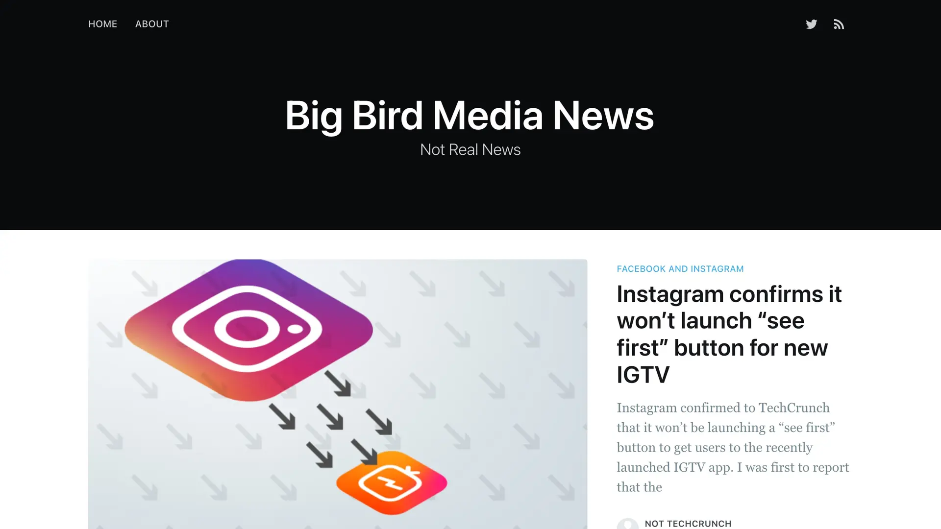 notrealnews.net on February 12, 2020, titled Big Bird Media News, Not Real News, its lead story bylined Not TechCrunch